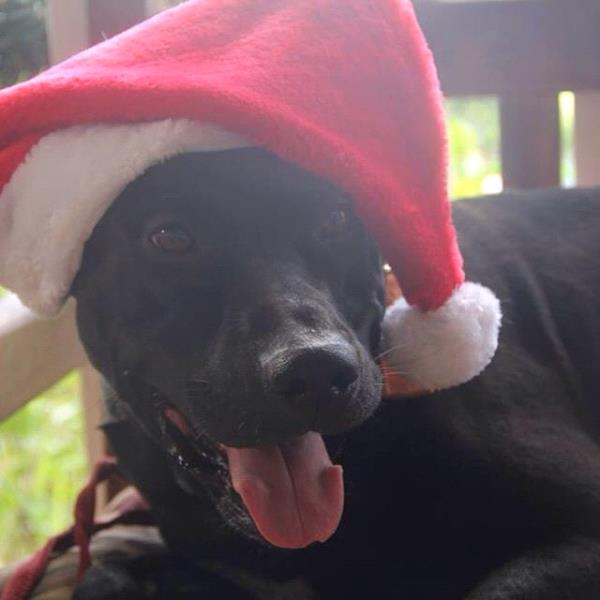 /Images/uploads/Humane Society of Utah/HSUCalendar/entries/548thumb.jpg